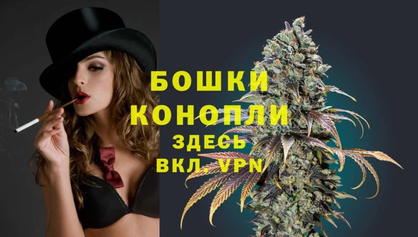 ешки Аркадак