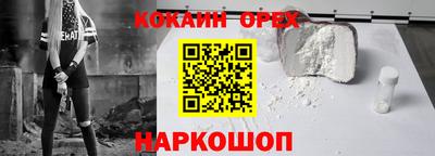 гидра Братск