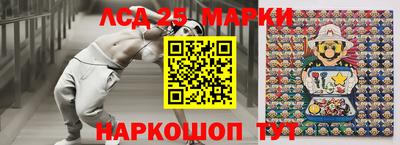 гидра Братск