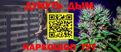 гидра Братск
