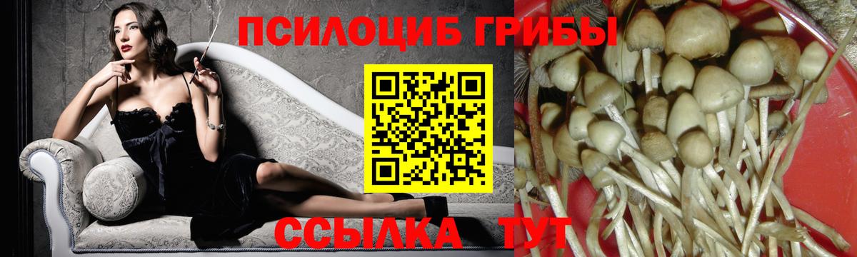 Галлюциногенные грибы Magic Shrooms Верхняя Салда
