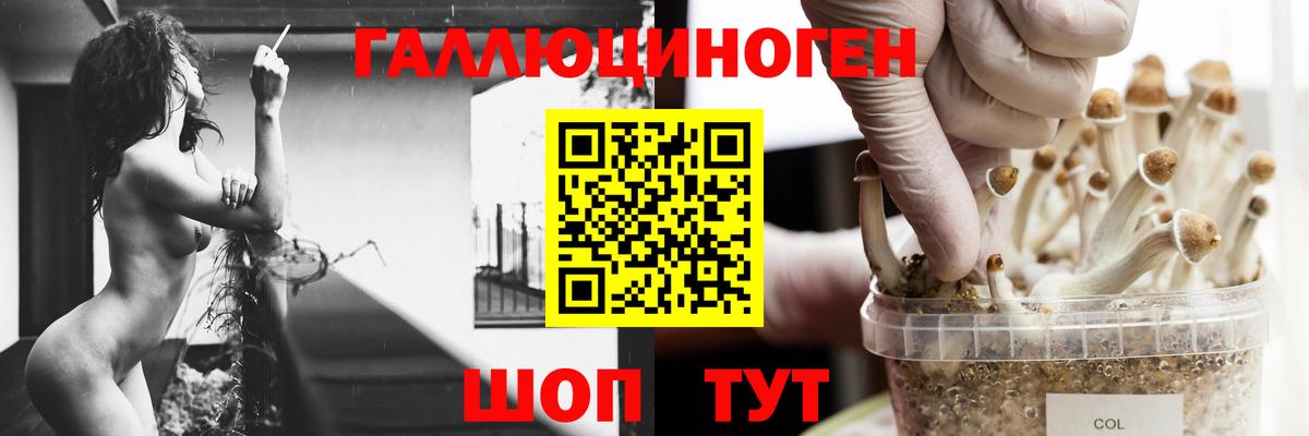Верхняя Салда  Псилоцибиновые грибы мухоморы  Вход с VPN 